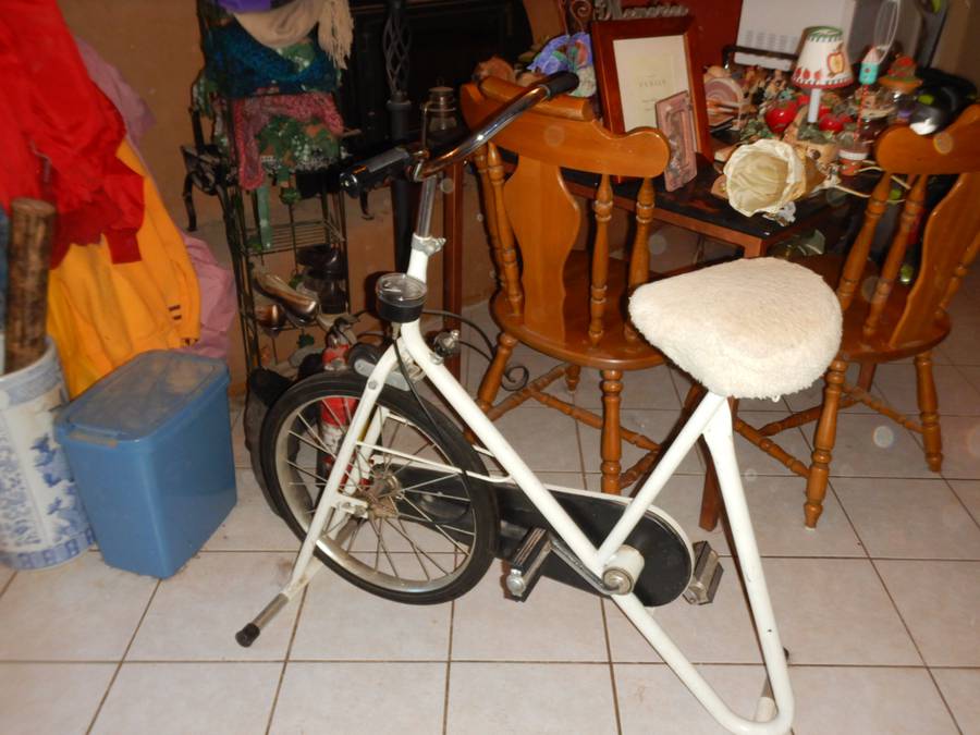 Montgomery ward bike online vintage