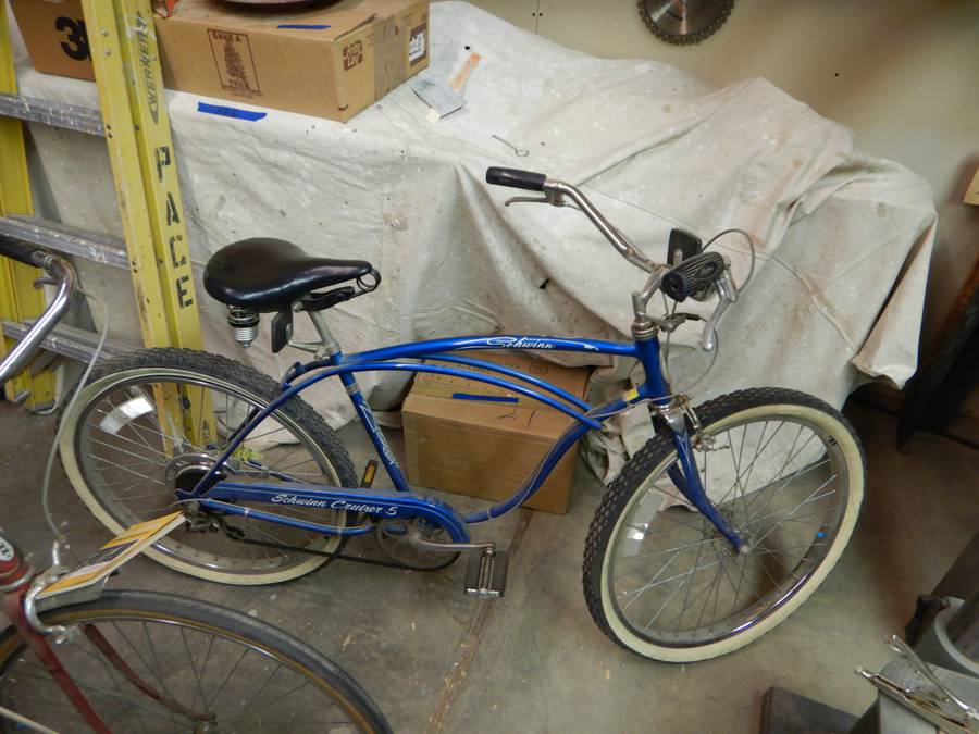 schwinn cruiser 5